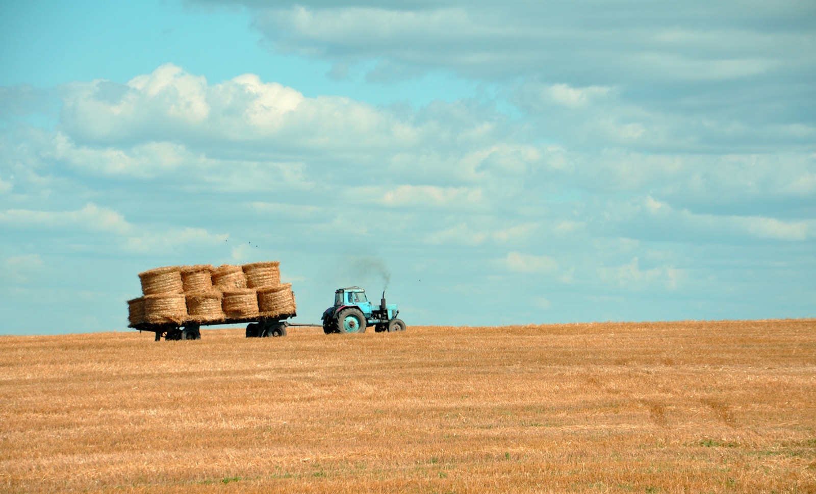 farm insurance